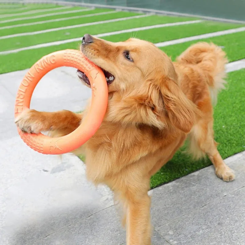 1Pcs Pet Toy Dog Frisbee Grinding Teeth Training Ring Tension Ring Suitable for Small Dogs