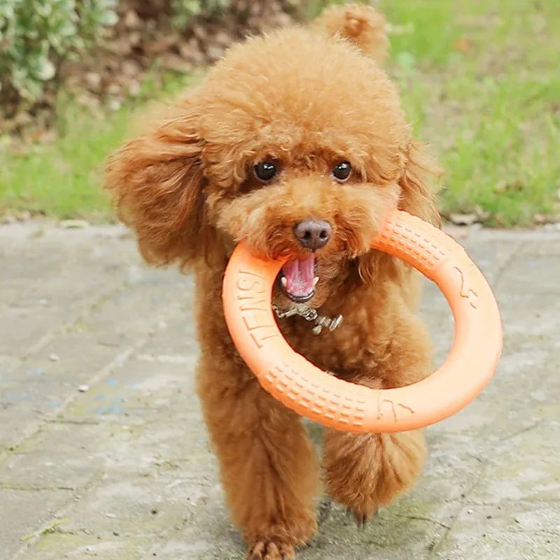 1Pcs Pet Toy Dog Frisbee Grinding Teeth Training Ring Tension Ring Suitable for Small Dogs