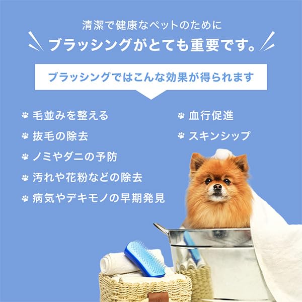 Pet Teaser, Small, Hard/Dreamy Blue, Dog Tangle Teaser