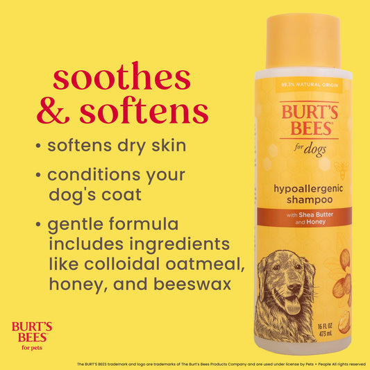 Burt's Bees for Pets for Dogs Natural Hypoallergenic Shampoo with Shea Butter and Honey| Puppy and Dog Shampoo, 16 Ounces, 473 ml (FF4849)